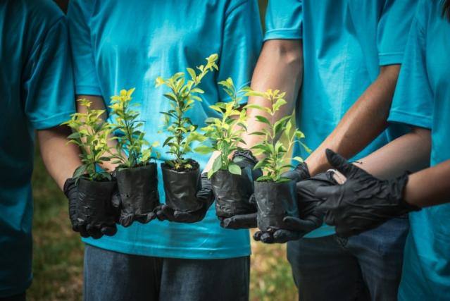 equipe jardinier paysagiste