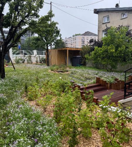 AMÉNAGEMENT D'UN JARDIN EN BIODIVERSITÉ À VILLEJUIF : ENVIRONNEMENT & PRATICITÉ