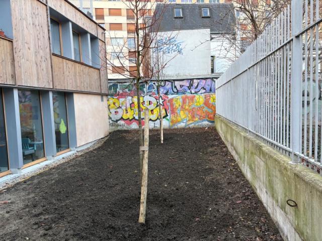 LA GRANDE COCO : LE RÉEMPLOI DES BRIQUES AU COEUR DE L'AMÉNAGEMENT PAYSAGER