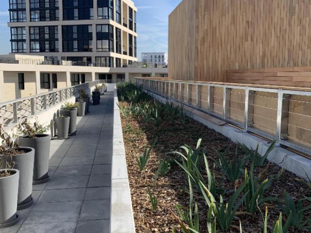 AMÉNAGEMENT PAYSAGER DE L'ÎLOT CULTUREL DE LA ZAC CLICHY-BATIGNOLLES (LOT 8)