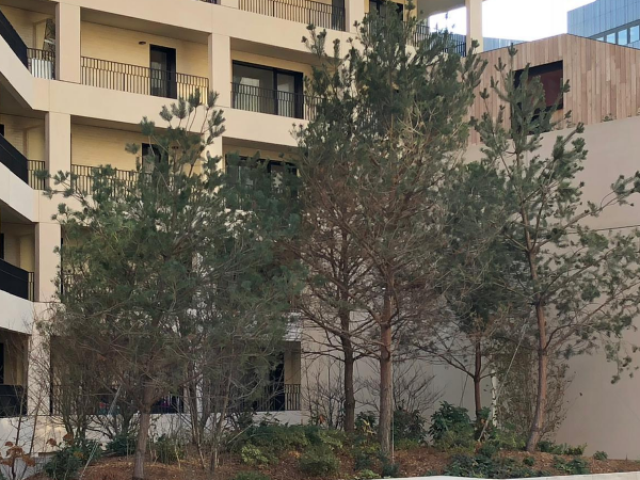 AMÉNAGEMENT PAYSAGER DE L'ÎLOT CULTUREL DE LA ZAC CLICHY-BATIGNOLLES (LOT 8)