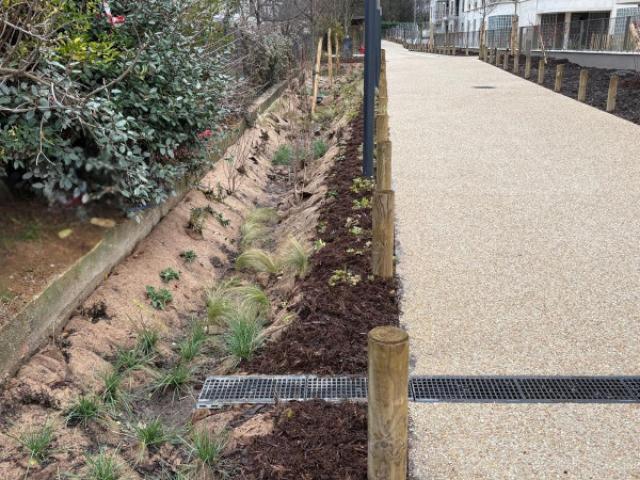 AMÉNAGEMENT PAYSAGER DE LA RÉSIDENCE UNIVERSITAIRE 