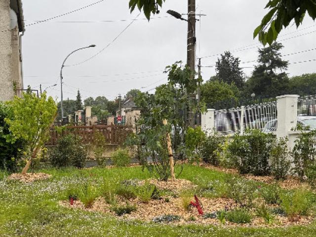 AMÉNAGEMENT D'UN JARDIN EN BIODIVERSITÉ À VILLEJUIF : ENVIRONNEMENT & PRATICITÉ