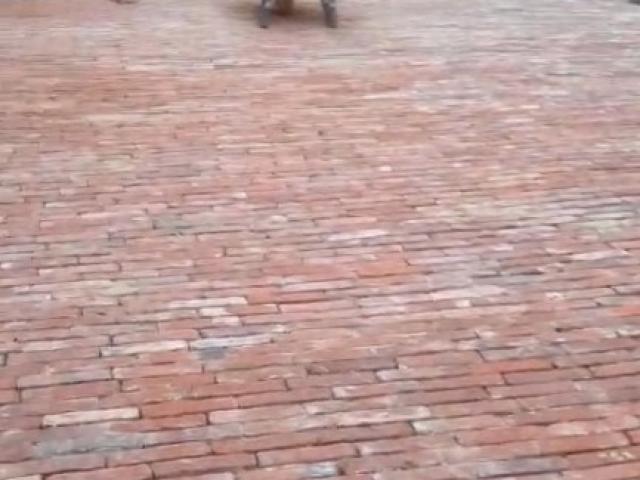 LA GRANDE COCO : LE RÉEMPLOI DES BRIQUES AU COEUR DE L'AMÉNAGEMENT PAYSAGER