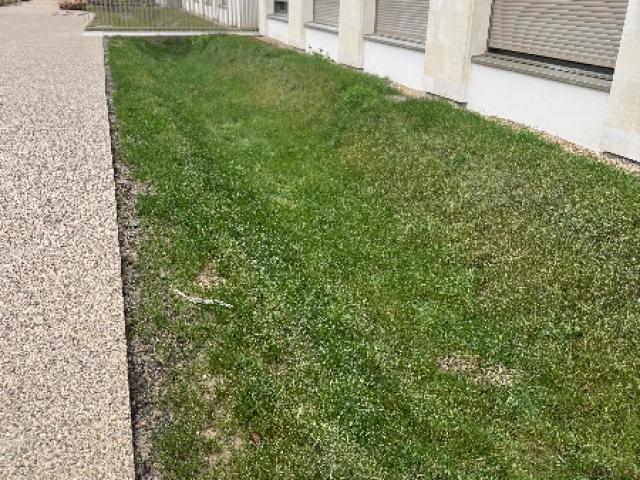 AMÉNAGEMENT PAYSAGER DE LA RÉSIDENCE UNIVERSITAIRE 