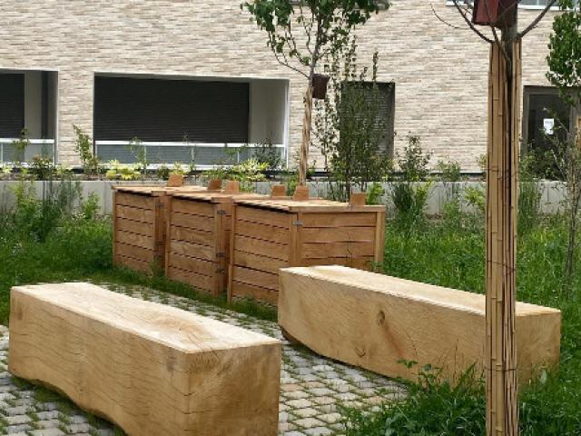 AMÉNAGEMENT PAYSAGER DE LA ZAC JEAN ZAY ÎLOT E À ANTONY LABELLISATION BIODIVERCITY 