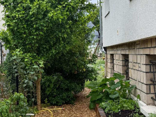 potager en bois
