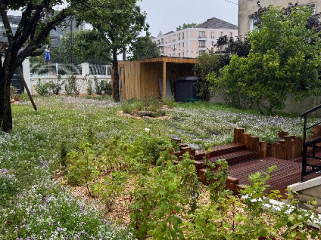vue arrière du jardin